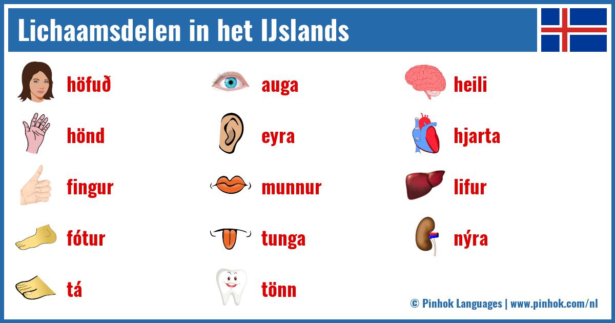 Lichaamsdelen in het IJslands