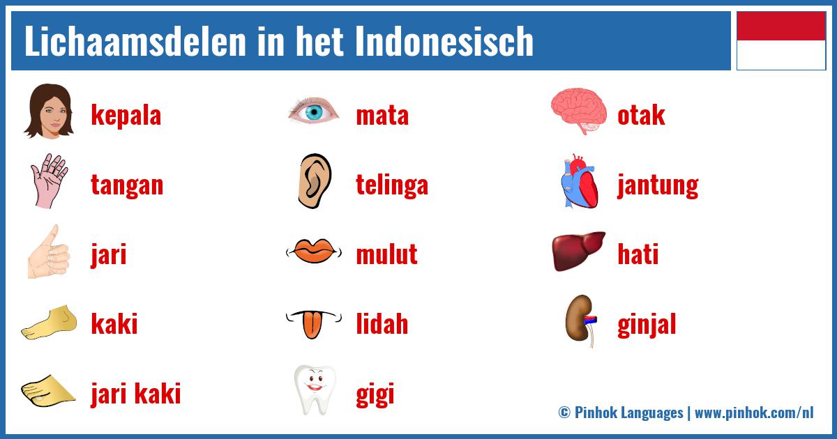 Lichaamsdelen in het Indonesisch