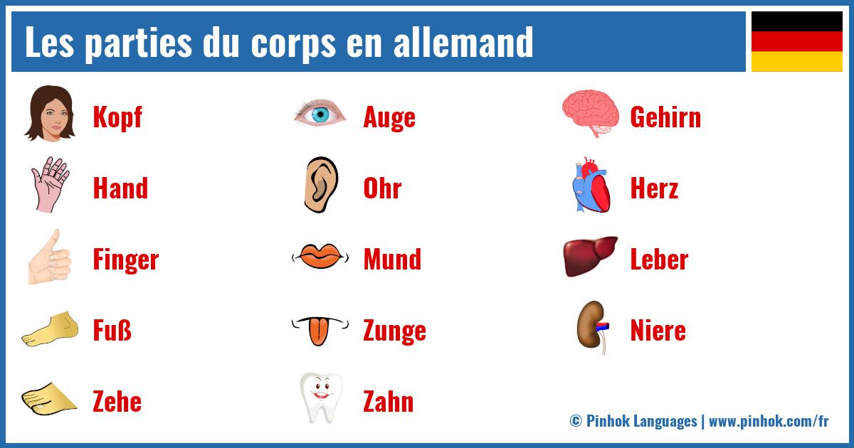 Les parties du corps en allemand