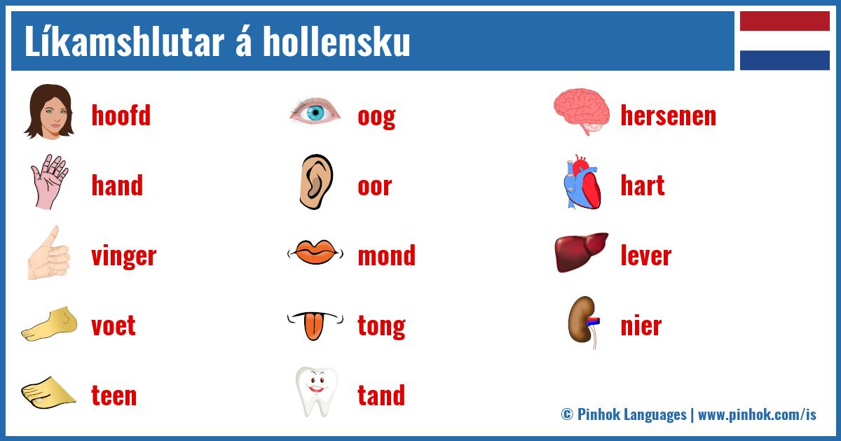 Líkamshlutar á hollensku