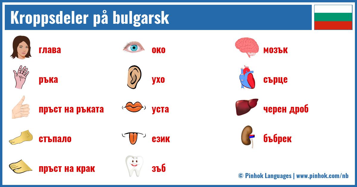 Kroppsdeler på bulgarsk