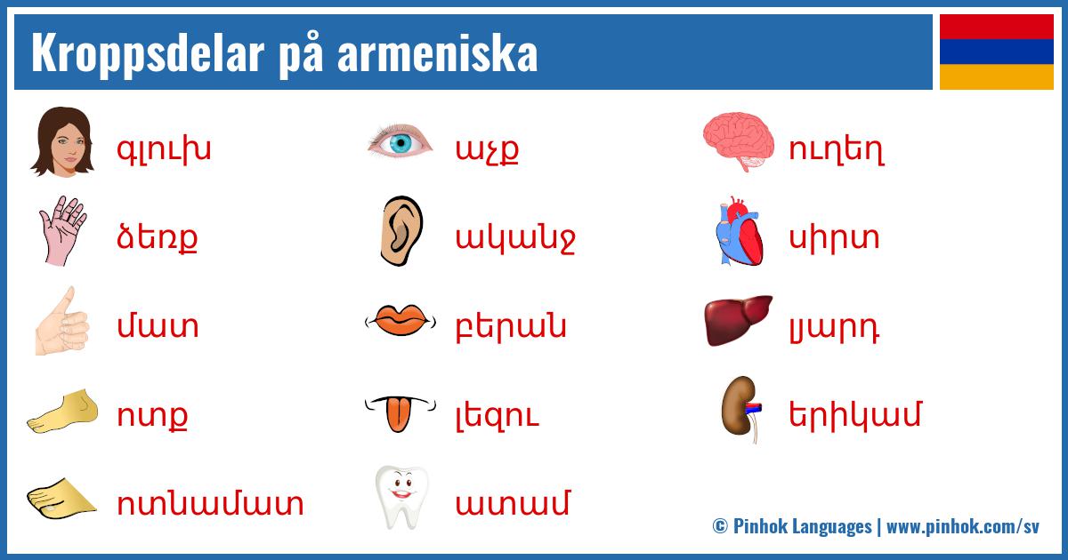 Kroppsdelar på armeniska